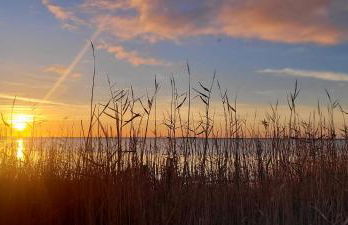 Mèze avec vue face à l'étang - Foto 13