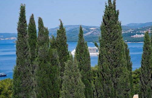 Apartment Ivano with pool & jacuzzi - Photo 27