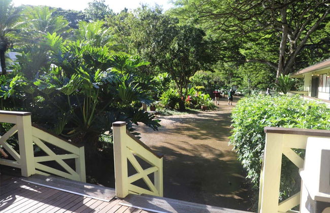 Randonnée à la cascade de Waimea - Photo 6