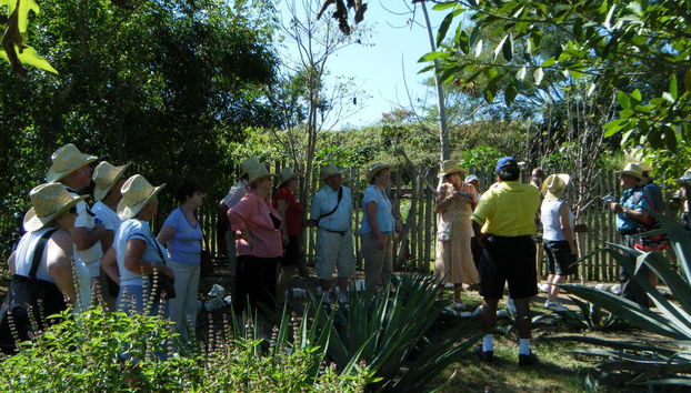 Esplorando l'erbario