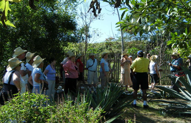 Tour gastronómico por Huatulco - Foto 5