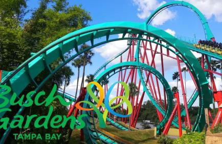 Tropical Casita in Tampa near airport and Raymond James stadium - Foto 33