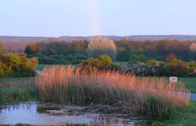 Charming Cottage for 2pers in the Land of the Valley - Foto 32