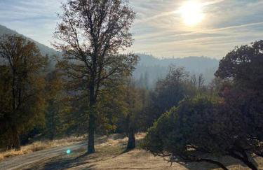 Modern House on 5 acr in Sequoia National Forest - Foto 42