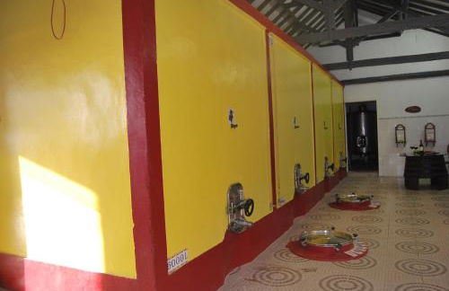 Adega Monte Maneta - Foto 31