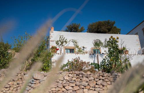 Demati house - Photo 15