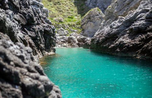 Ville Pini e Aurelia - Foto 80