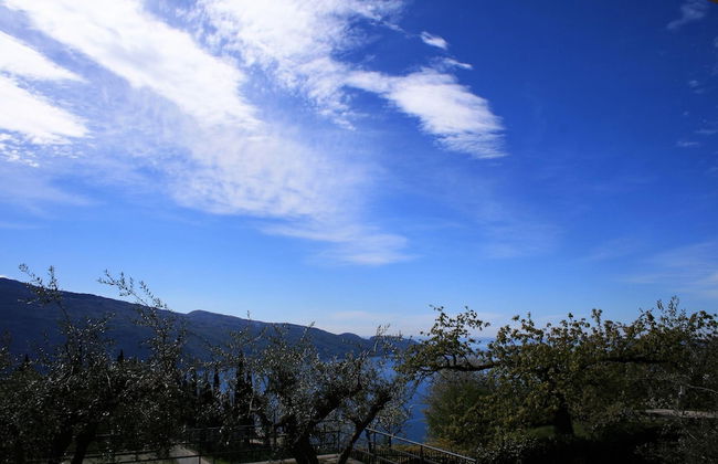 Appartamento Anna 701 - Foto 21