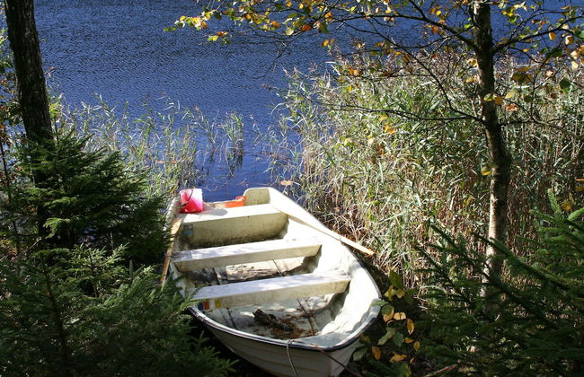 Björsjödal - Foto 71