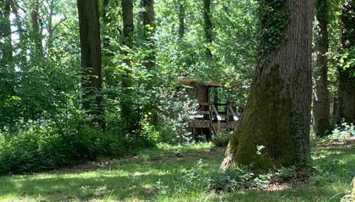 3 Guests - Pet Friendly - Grid Tree-House - Foto 4, Garden