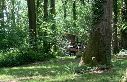 3 Guests - Pet Friendly - Grid Tree-House - Foto 4