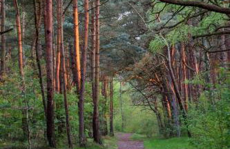 Dąbki Beachfront Retreat - Foto 28