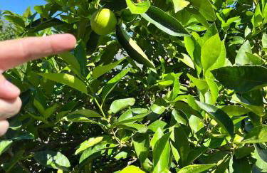 Pousada RIO CALDO - Foto 18