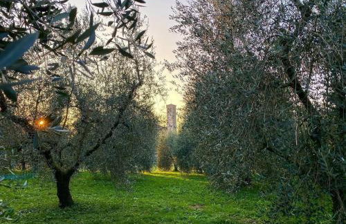 All'Antica Scuderia Del Castello - Foto 14