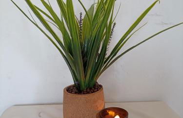 Chania Mini Villas - Photo 20