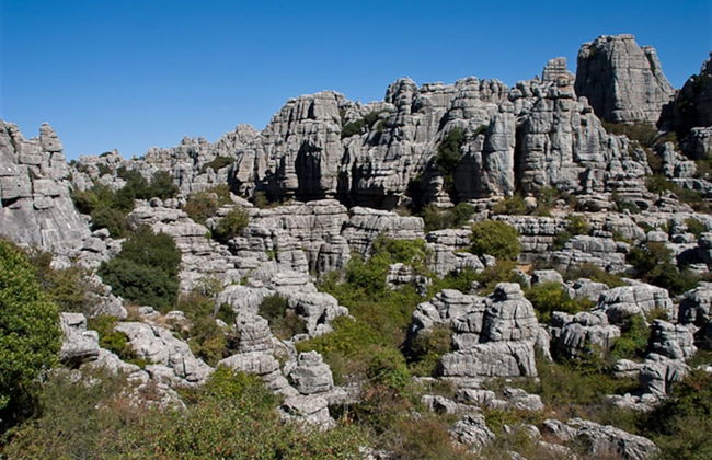 Apartamentos Parque Ardales - Photo 33