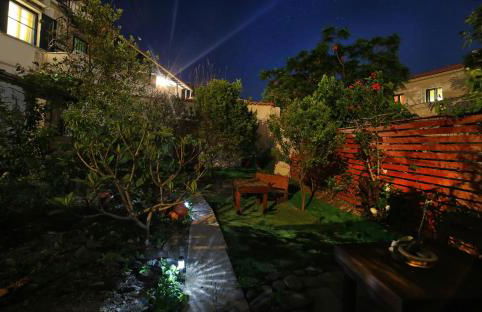 Plumeria Flowery - Foto 47