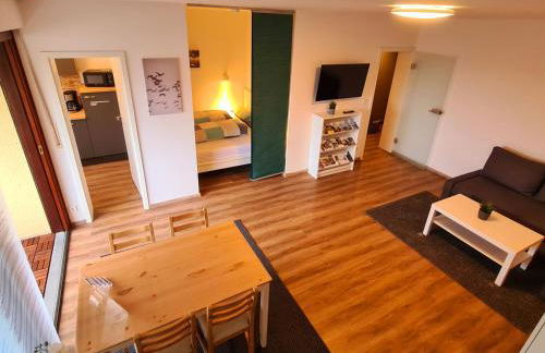 1,5 Zimmer Apartments mit traumhafter Aussicht - Foto 4