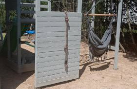 Chatka Leo - Foto 27