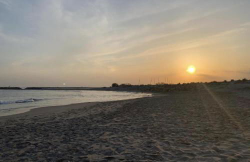 La Villa Vaihéré en Camargue, l'Hibiscus et le Magnolia - Foto 36