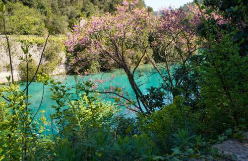 Il Principe di Stifone - Foto 51