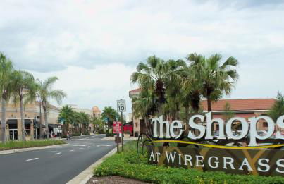 Wesley Chapel Hidden Gem - Photo 6