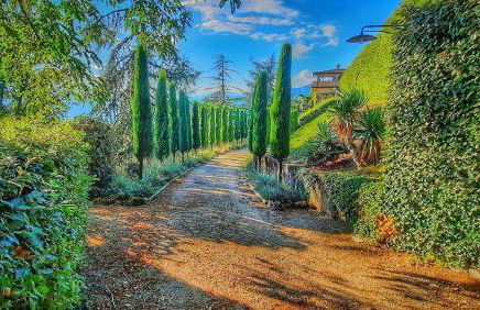 Villa Serena - Foto 39