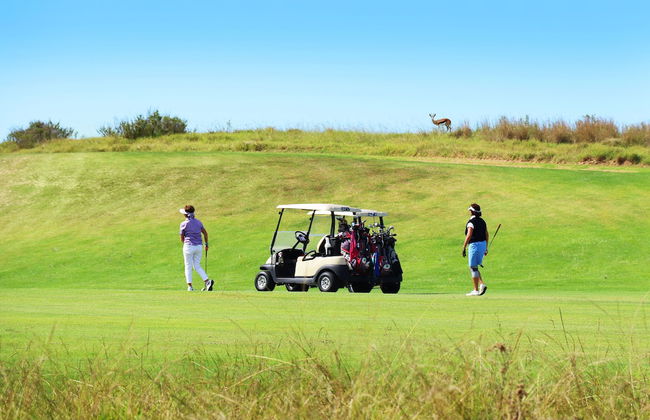 Krisjan's Lodge @ Oubaai - Photo 11