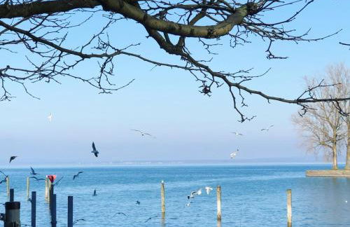 Blick ins Grüne - Foto 24