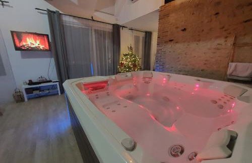 Eaudyssée maison avec SPA privée - Loiret - Photo 3