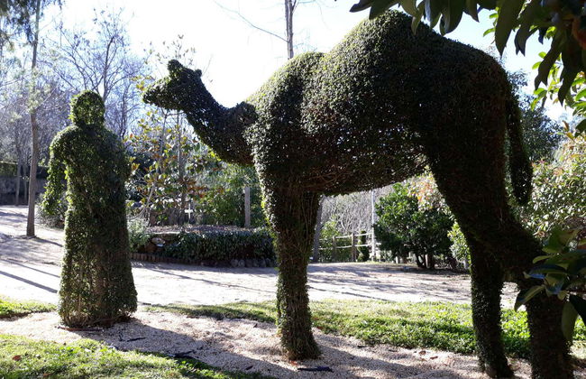 Enchanted Forest Tickets - Foto 8