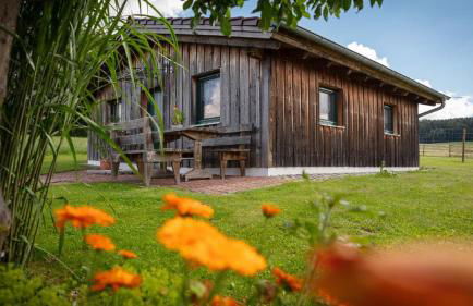 Ferienhaus Zillendorf - Foto 14