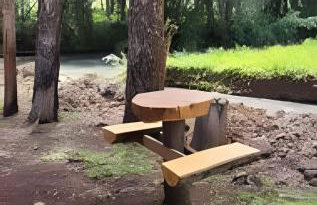 Cabana Pequeno Bosque Refúgio dás Águas - Foto 24