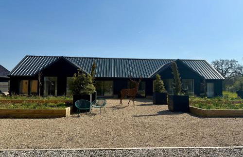 Bespoke 1 Bedroom Barn by Stansted Airport & Holiday Parking - Foto 32