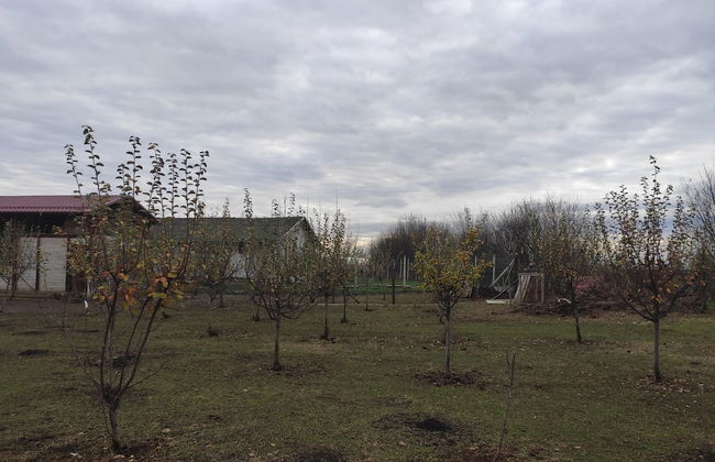 Salas Farma 47 - Photo 39