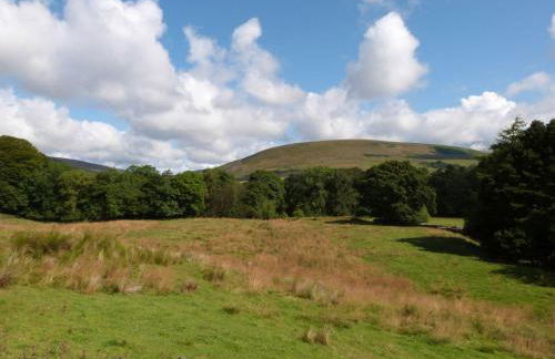 Sunnyside Shreyas - Foto 22