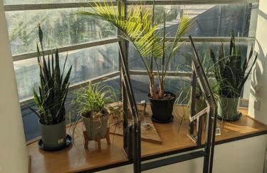 The Architect's Modern Castle - Photo 14