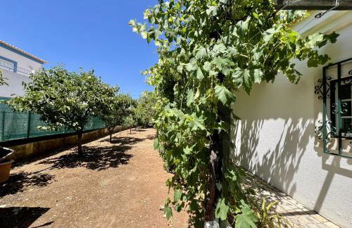 Alvor Traditional Villa With Pool by Homing - Foto 91