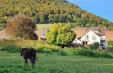Ferienwohnung MW 1b 82m2 Höxter Weserbergland Weser inkl 2 Terrassen Wäsche und Endreinigung Self CheckIn - Foto 56