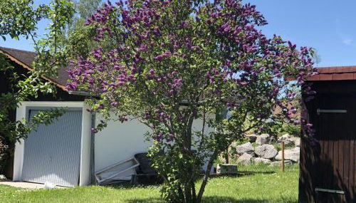 Haus Waldeck - Foto 4, Garden