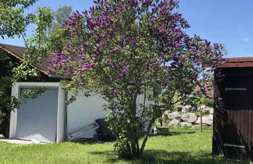 Haus Waldeck - Foto 4