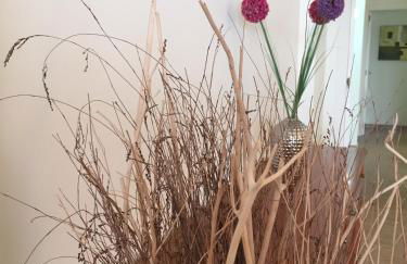 Apartamento Rosendo - Photo 51