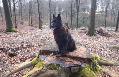 Łabądkowo - Foto 22