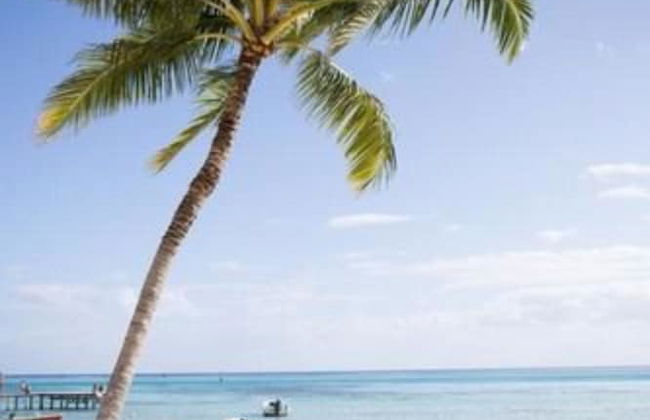 Residence Moorea Sunset Beach - Foto 51