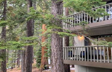 Woodsy retreat near Northstar & lake - Foto 31