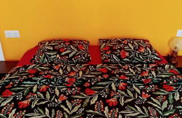 Olé Olé Bazan - Photo 7