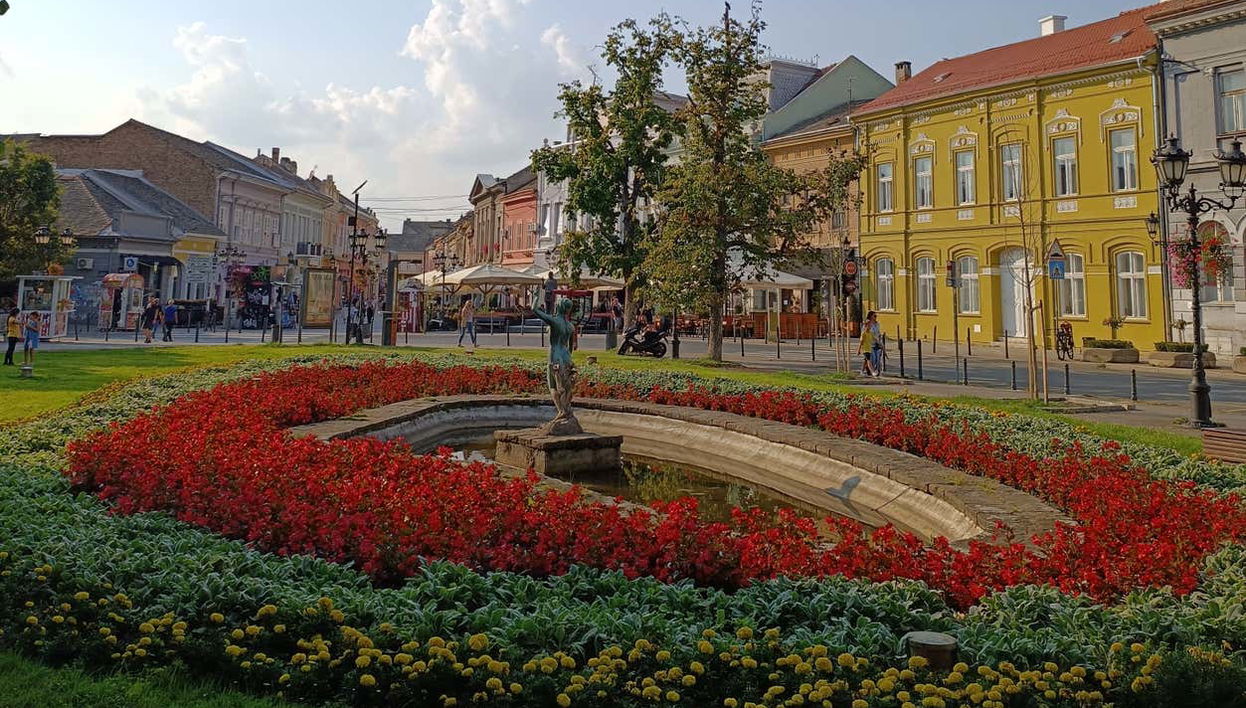 Una plaza decorada con flores en Novi Sad