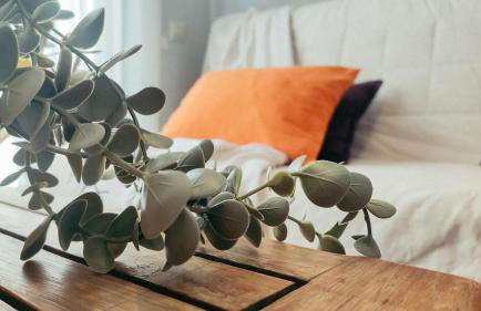 Casa Leo Encanto rural con gran terraza en La Puebla de Castro - Foto 15