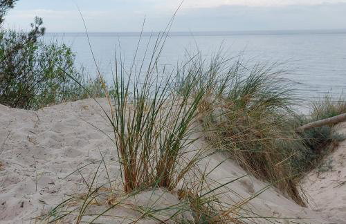 Resort Hevenia Apartament Nr 8 - Foto 25