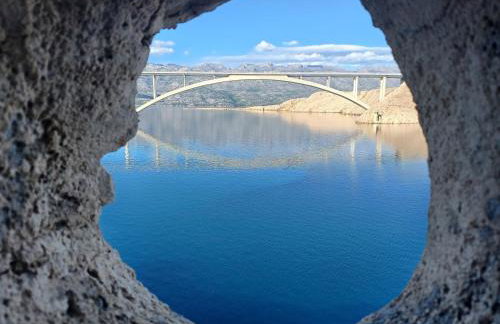 Apartmani Branka - Photo 43